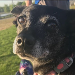 Meet your Posher, Evan